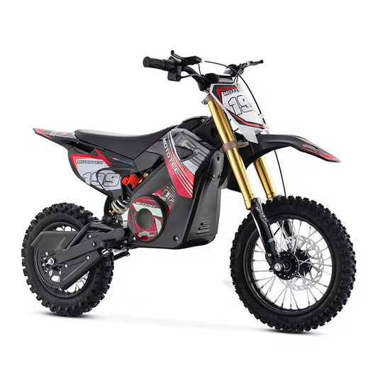 Rapid Moto 36v 1000w kids electric dirtbike